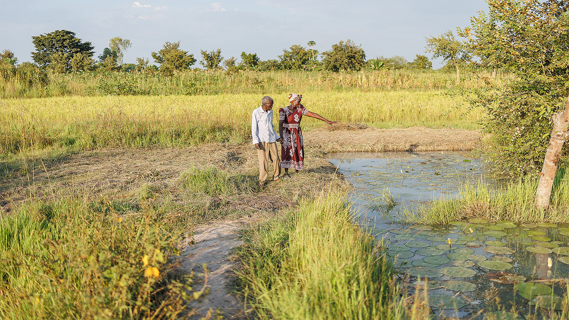 Klimatilspasning i Uganda - Unitas Rejsers klimaskov, CSR. bæredygtighed, GoGreen
