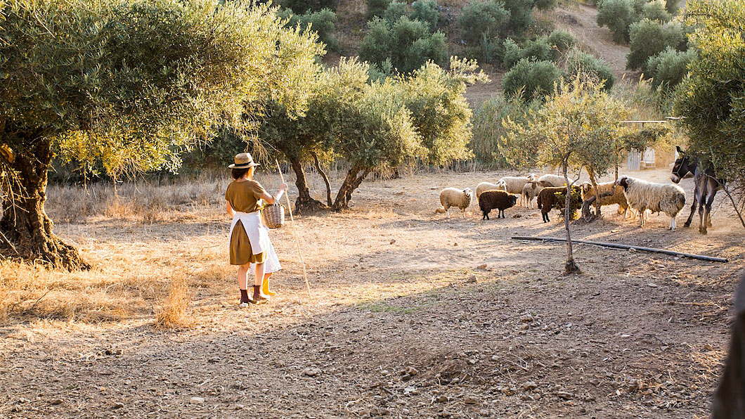 Kvinde med får i ørkenen i Israel, kulturrejser med Unitas Rejser